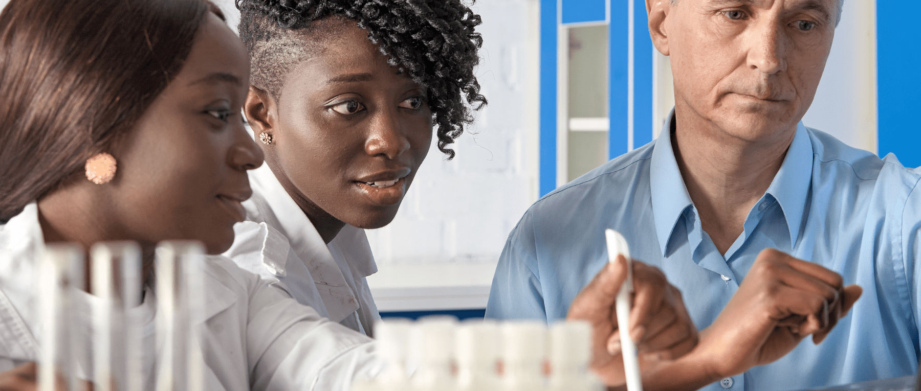 Healthcare leadership professionals conducting research.