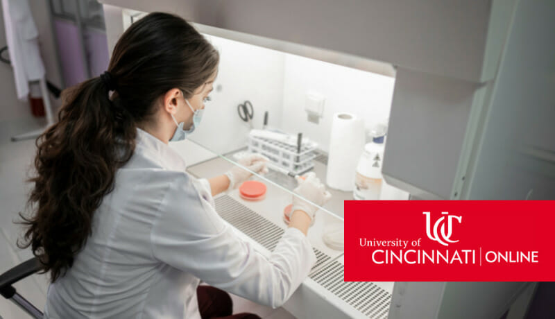 Medical laboratory scientist at work