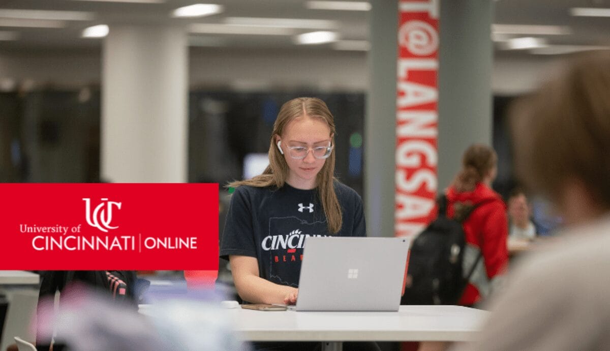 Online business student learning